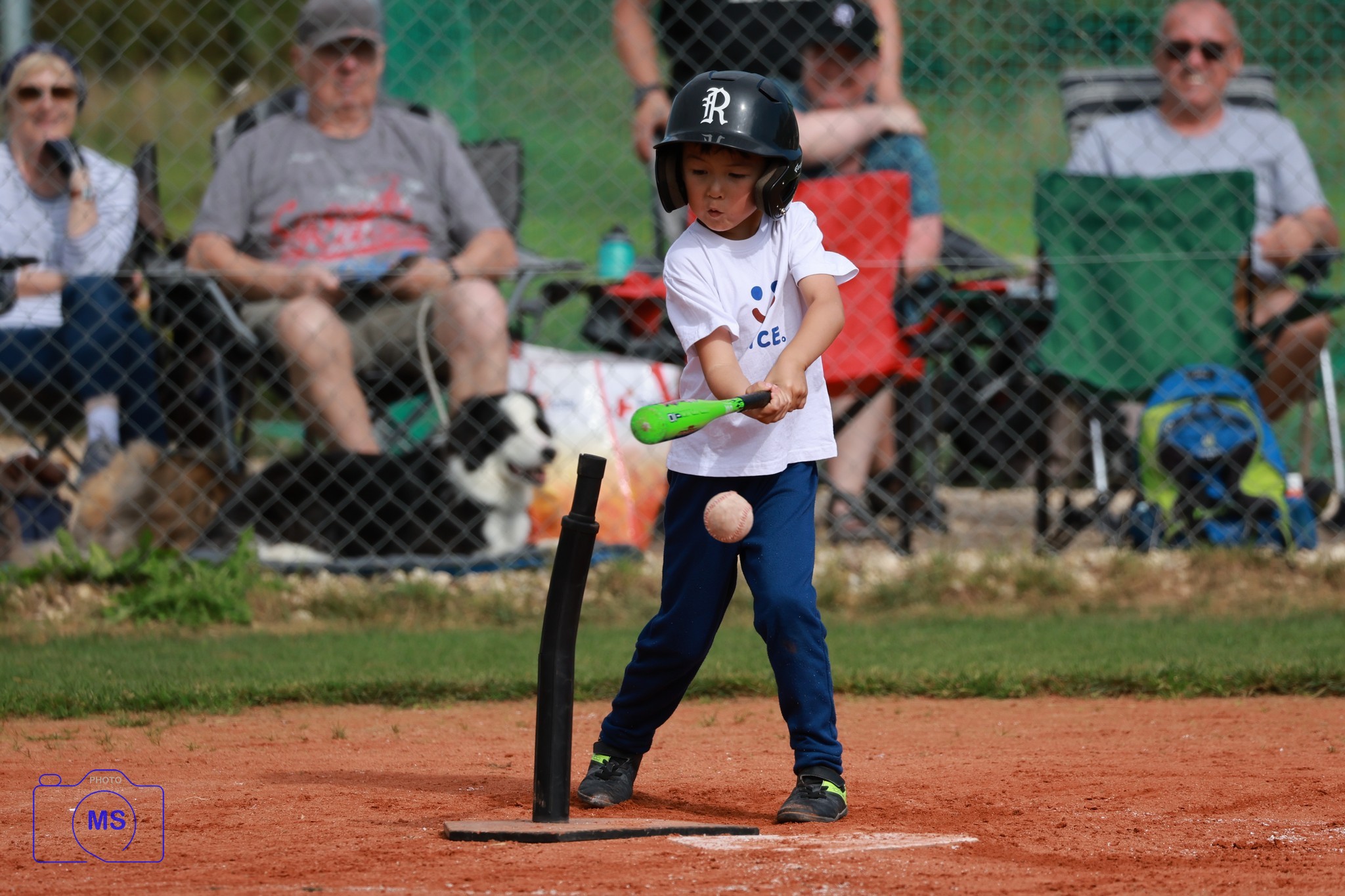 MS3 3074 1
