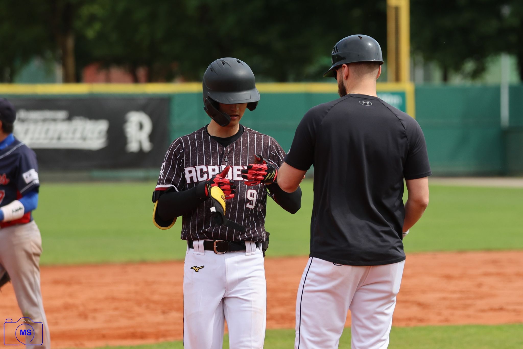 MS3 2040 1