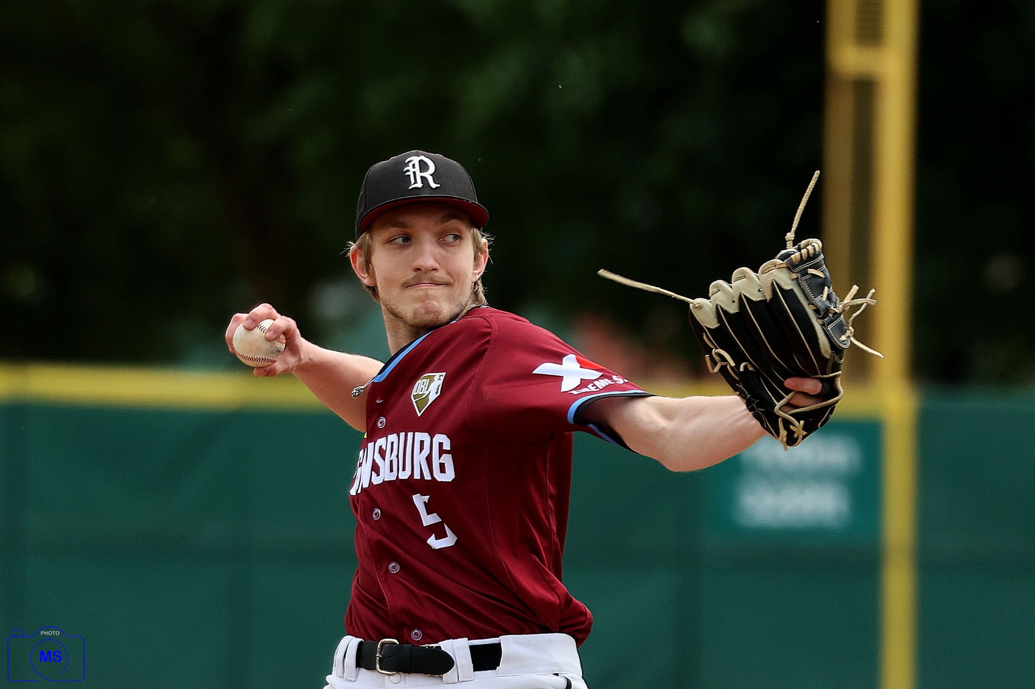 MS3 2289 1