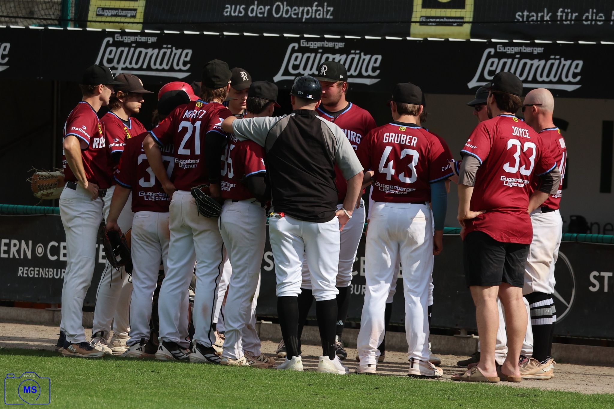 MS3 4376 1