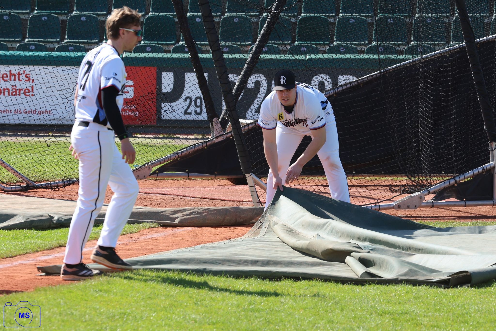 MS3 6698 1
