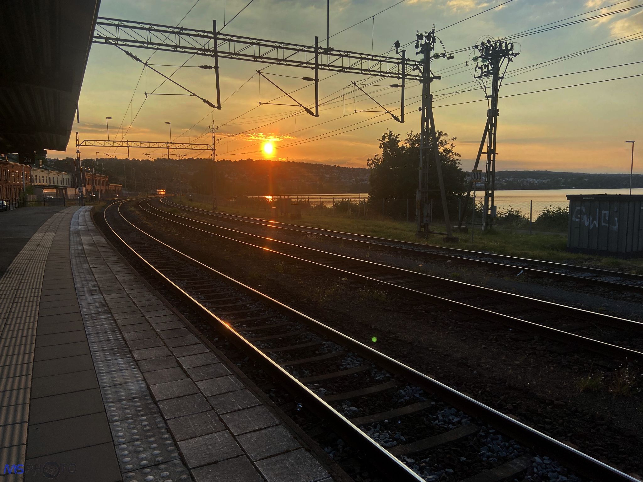 IMG 0026 1